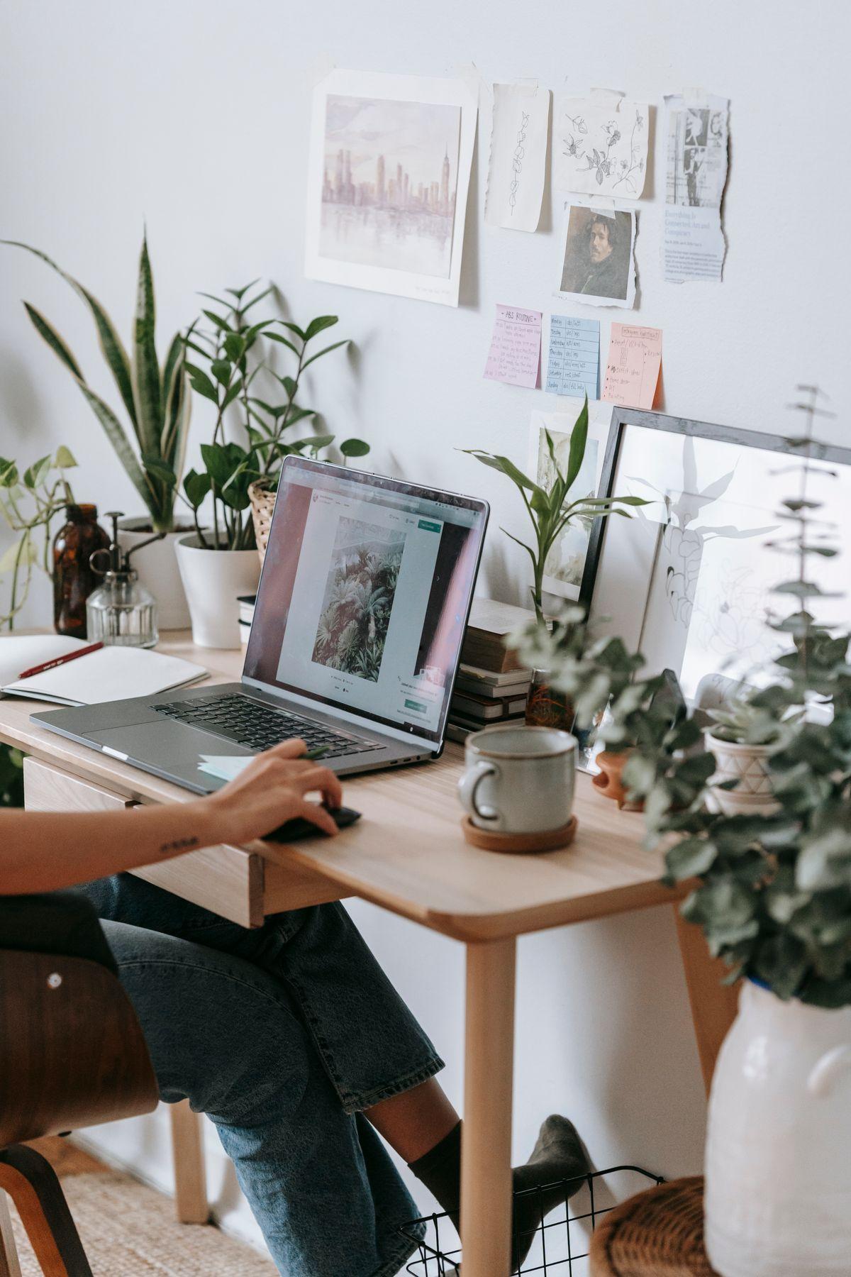Jeune entrepreneure travaillant sur son ordinateur portable dans un bureau à domicile décoré de plantes vertes